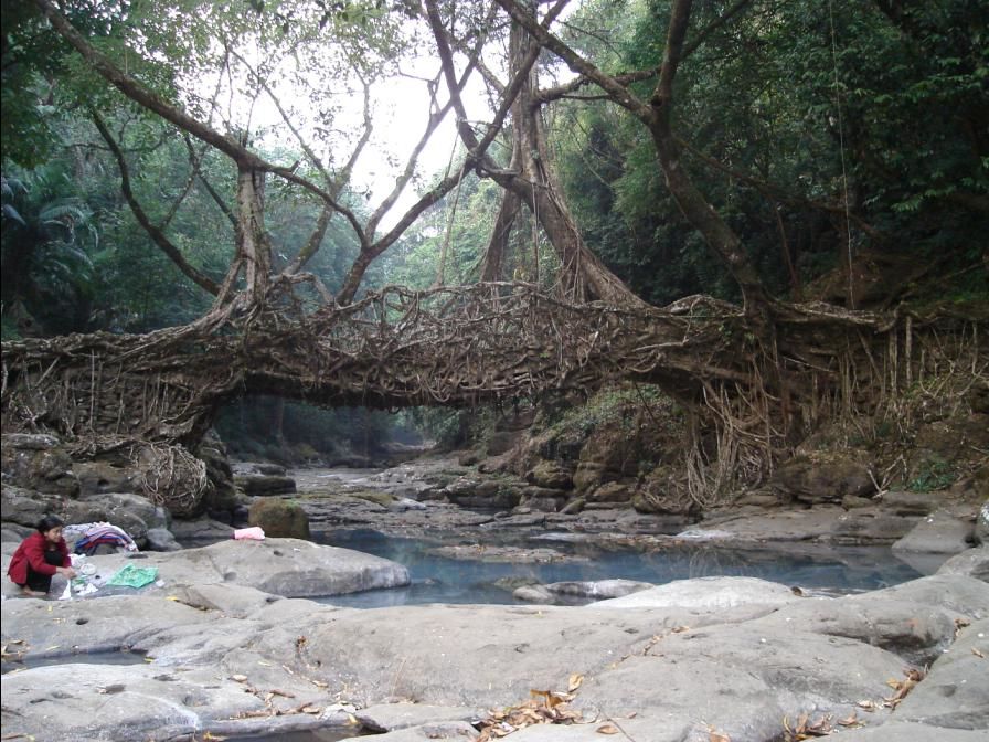 Photo of Border Bound: Guwahati to Dawki, Meghalaya 7/22 by Karandeep Mehra