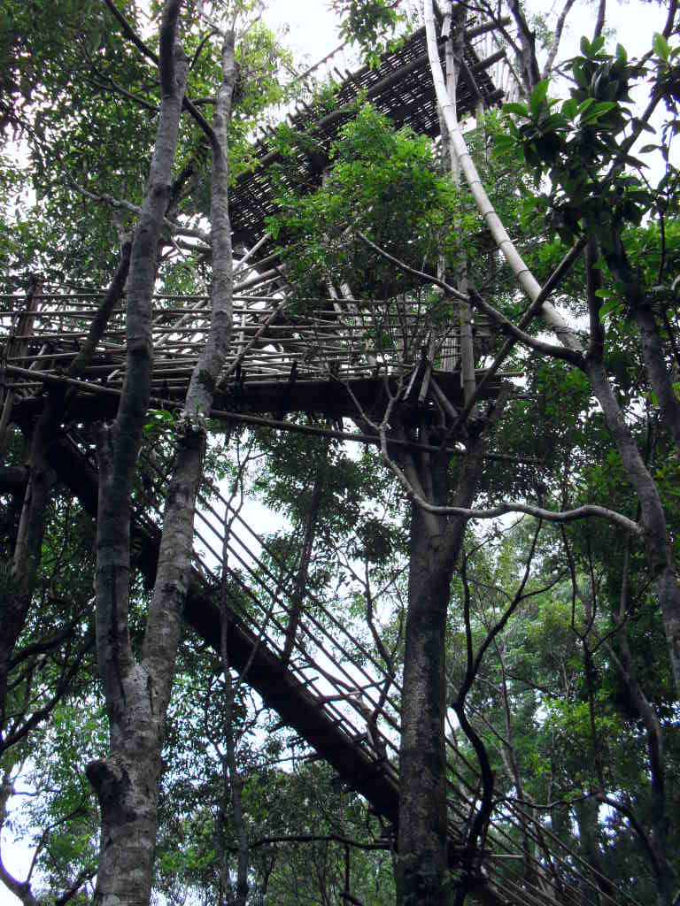 Photo of Border Bound: Guwahati to Dawki, Meghalaya 14/22 by Karandeep Mehra