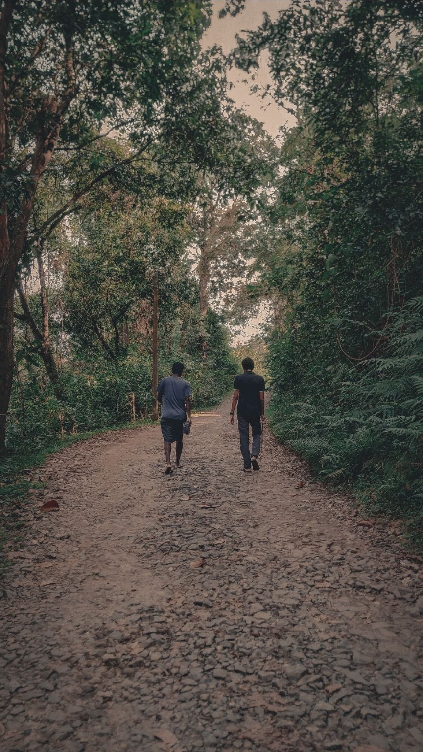 Photo of Banasura Hill, Kerala by Deepak Varghese