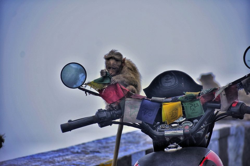Photo of Valparai, Tamil Nadu, India by LAKSHMI NARAYAN