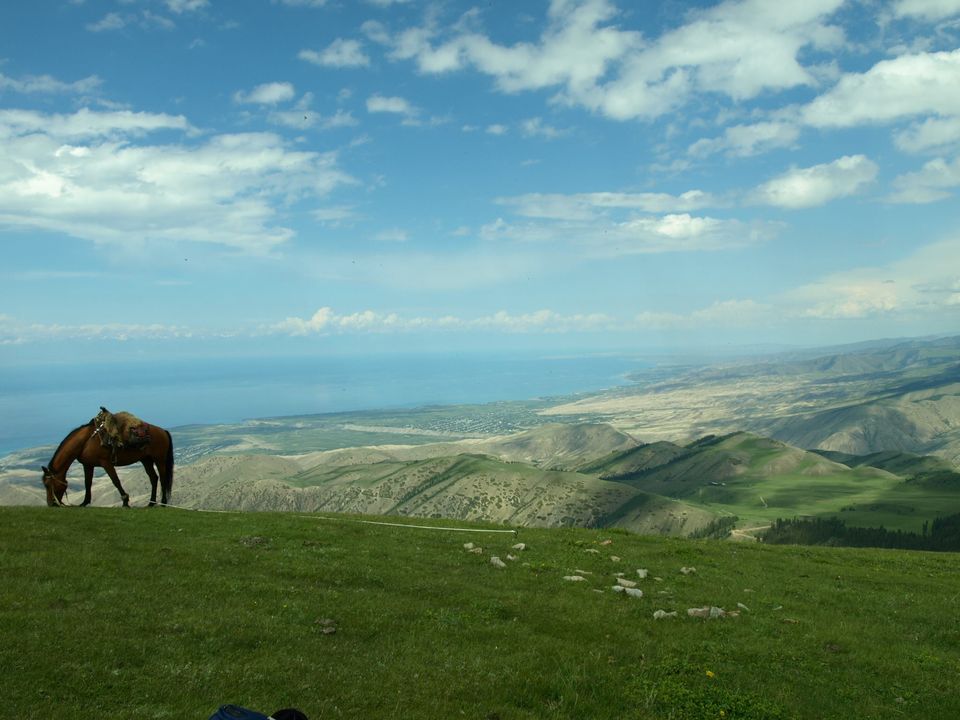 Photo of A Shepherds Life- Kyrgyzstan 1/12 by Prithvi Kini