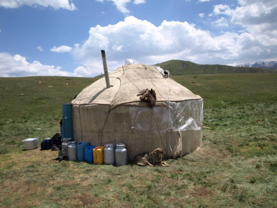 Photo of A Shepherds Life- Kyrgyzstan 7/12 by Prithvi Kini