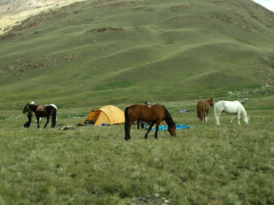 Photo of A Shepherds Life- Kyrgyzstan 10/12 by Prithvi Kini