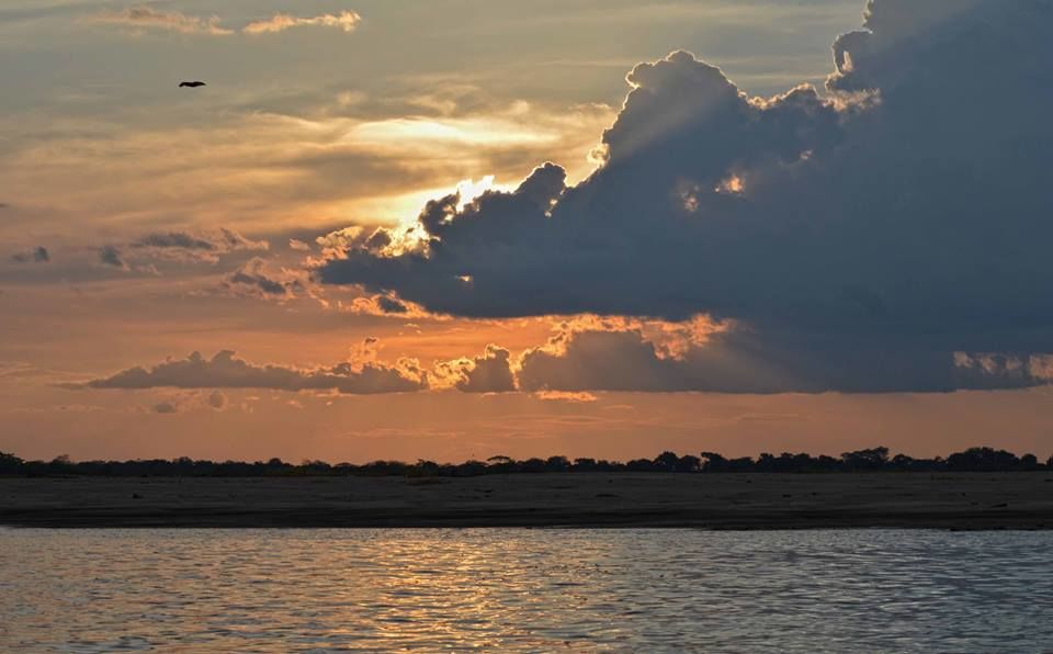 Photo of On a country speed boat into the Amazon jungles 11/19 by Yubanaswa Chakraborty