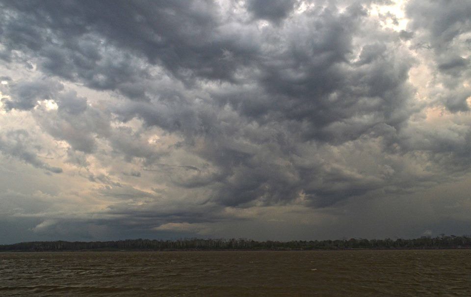 Photo of On a country speed boat into the Amazon jungles 13/19 by Yubanaswa Chakraborty
