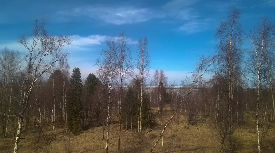 Photo of Baykalskiy Tranzit, Irkutsk Oblast, Russia by Yubanaswa Chakraborty