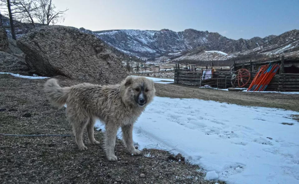 Photo of Terelj, Ulaanbaatar, Mongolia by Yubanaswa Chakraborty