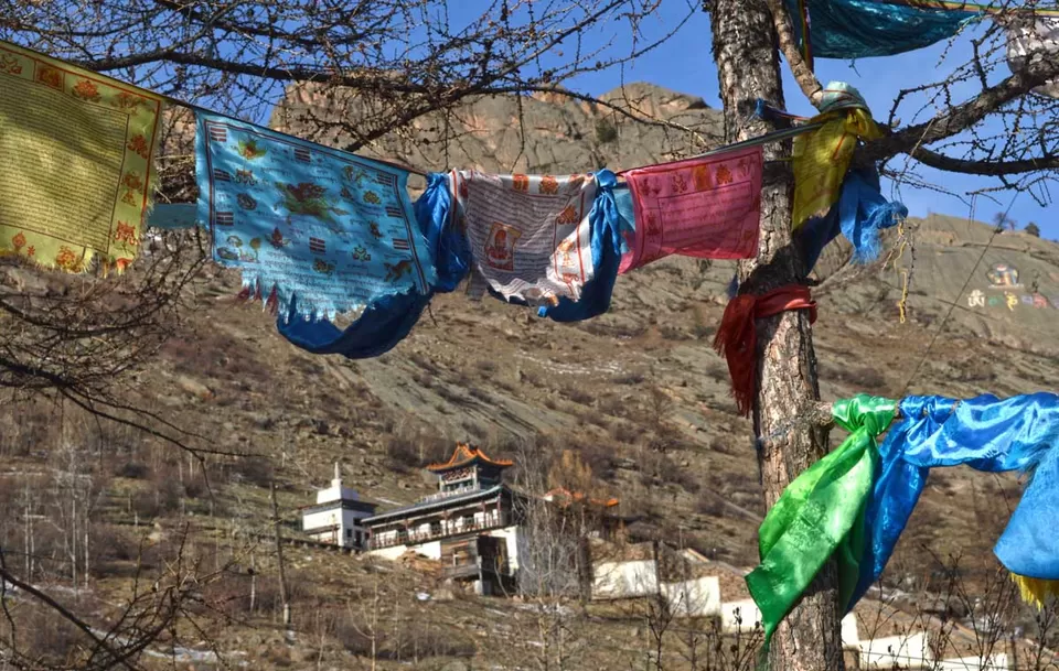 Photo of Terelj, Ulaanbaatar, Mongolia by Yubanaswa Chakraborty