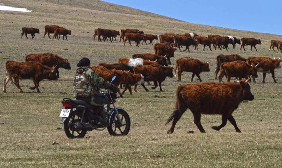 Photo of Khustai Mountains Road, Argalant, Tov, Mongolia by Yubanaswa Chakraborty
