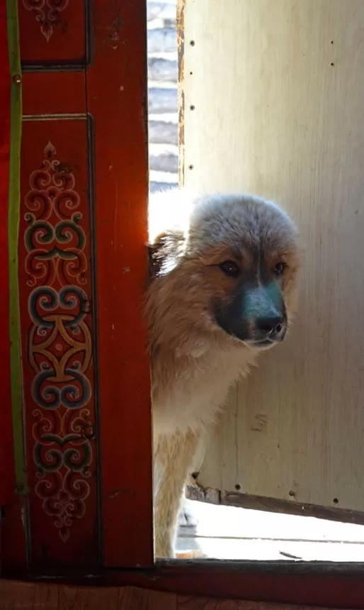 Photo of Terelj, Ulaanbaatar, Mongolia by Yubanaswa Chakraborty