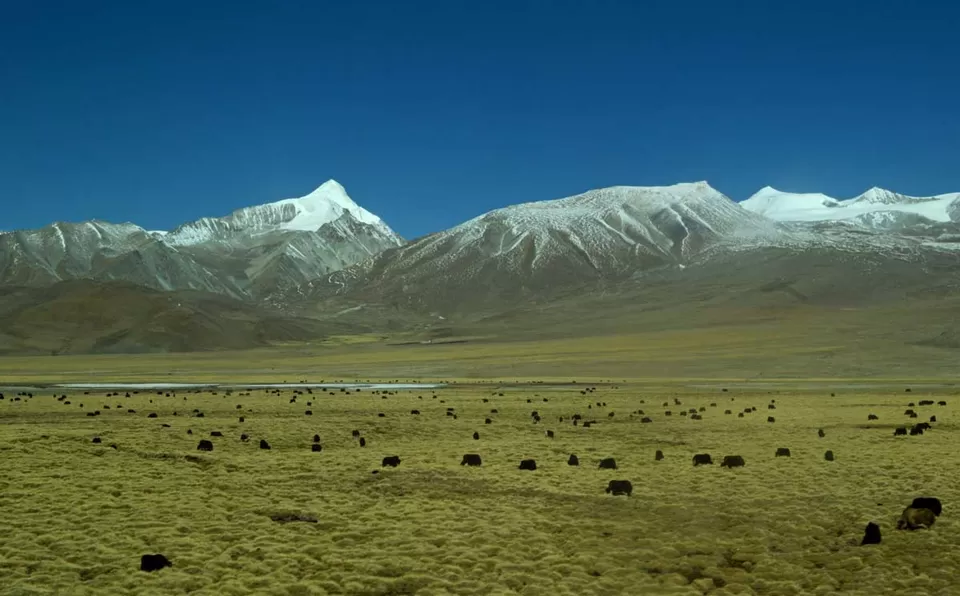 Photo of Tibet Autonomous Region, China by Yubanaswa Chakraborty