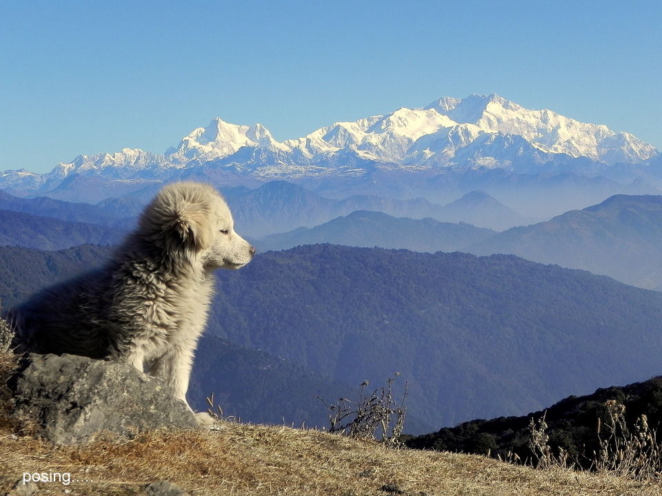 Photo of Gauribas, Central Development Region, Nepal by Upamanyu Roy (Jai)