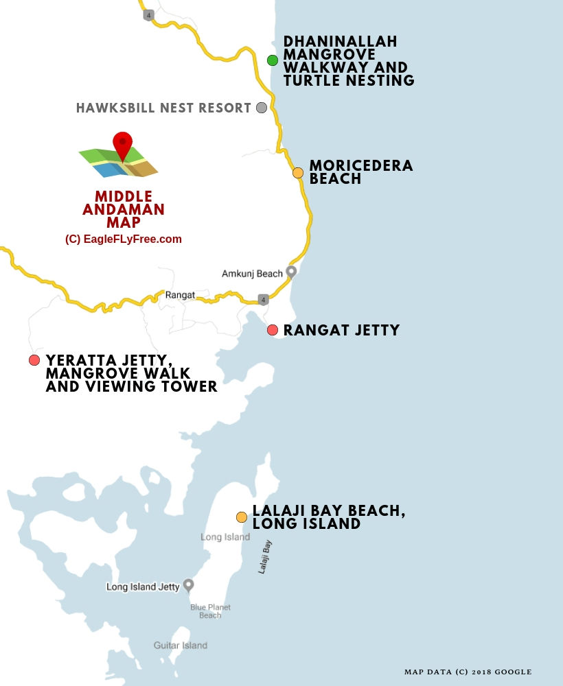 Photo of Middle Andaman - mangroves and turtles - eagleflyfree.com 1/1 by Roland