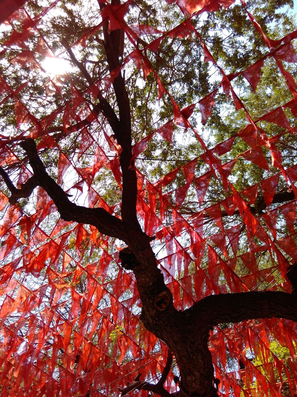 Photo of 10 ways to get to know the "real" Rajasthan 1/8 by Varsha Poddar