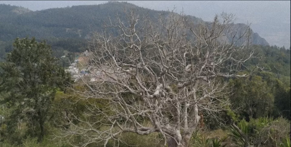 Photo of Poor Man's Ooty by Rakesh Ravikumarrajan