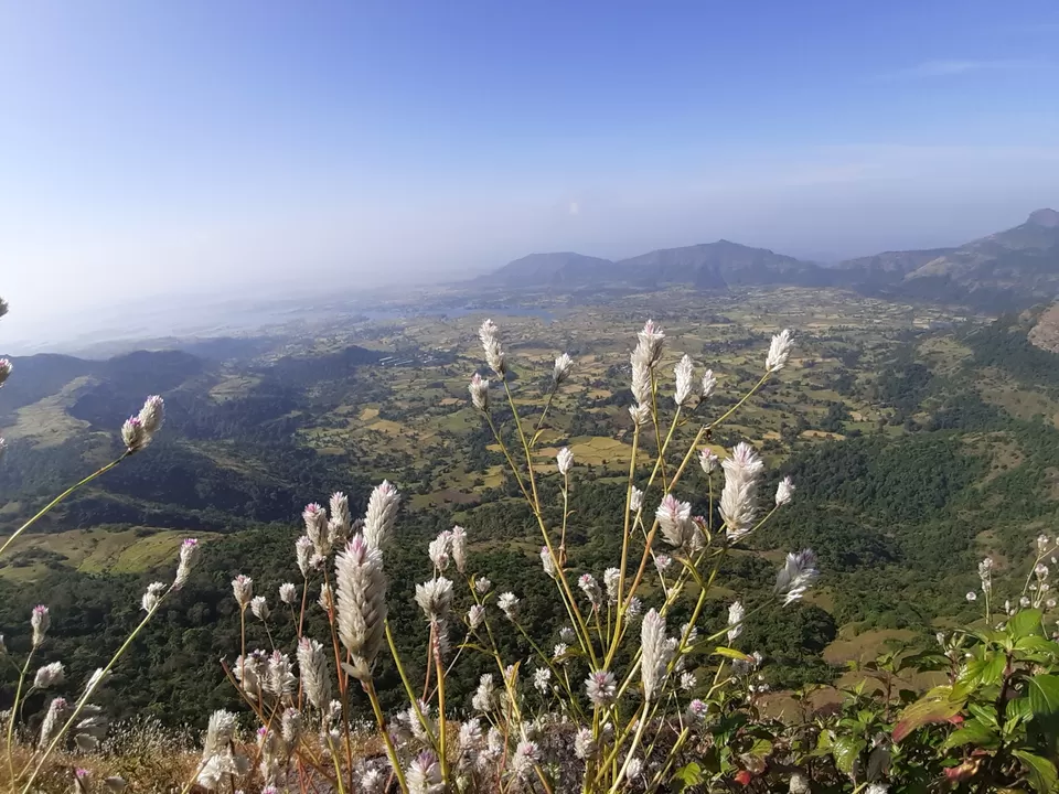 Photo of Harihar Fort, Nashik, Maharashtra, India by Harshit Choudhary