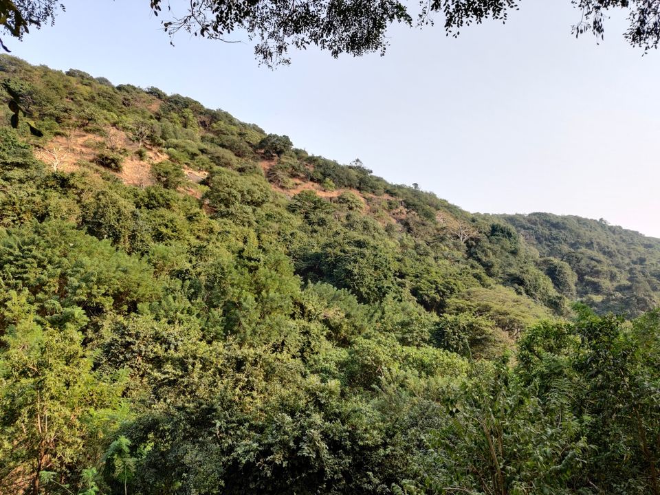 Photo of Harihar Fort by Harshit Choudhary
