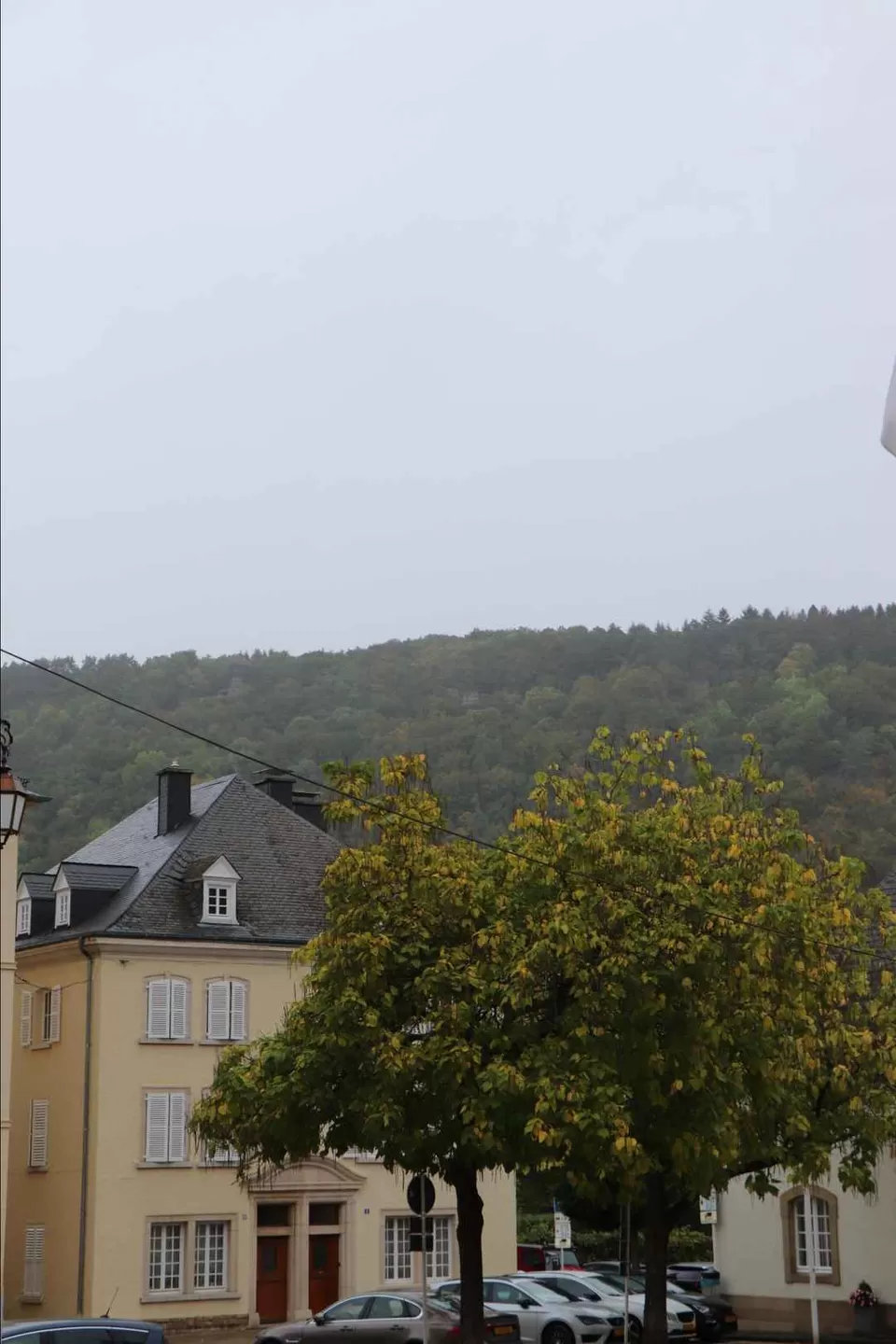 Photo of Rue du Mullerthal, Consdorf, Luxembourg by Hiba Khan
