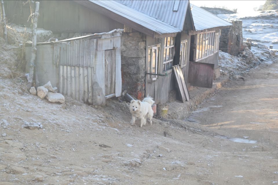 Photo of Sandakphu - where it seemed like heaven by Digisha Bose