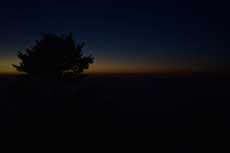 Photo of Sandakphu - where it seemed like heaven by Digisha Bose