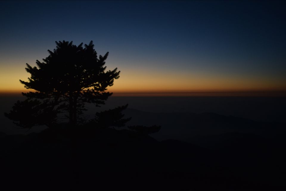 Photo of Sandakphu - where it seemed like heaven by Digisha Bose