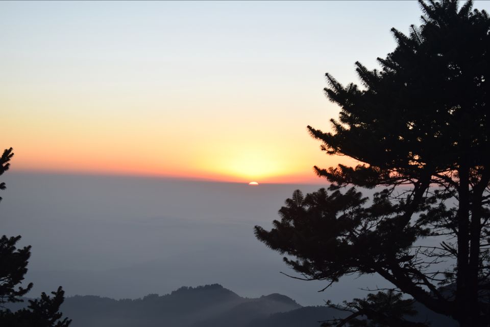 Photo of Sandakphu - where it seemed like heaven by Digisha Bose