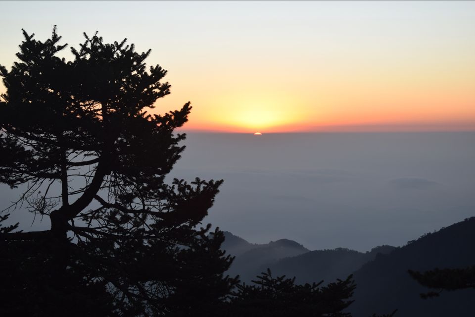 Photo of Sandakphu - where it seemed like heaven by Digisha Bose
