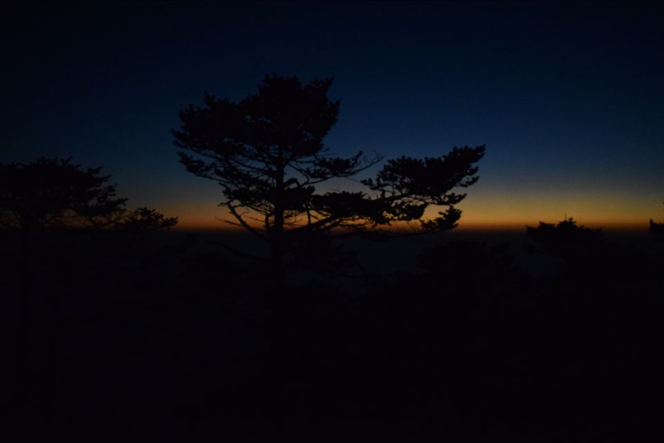 Photo of Sandakphu - where it seemed like heaven by Digisha Bose