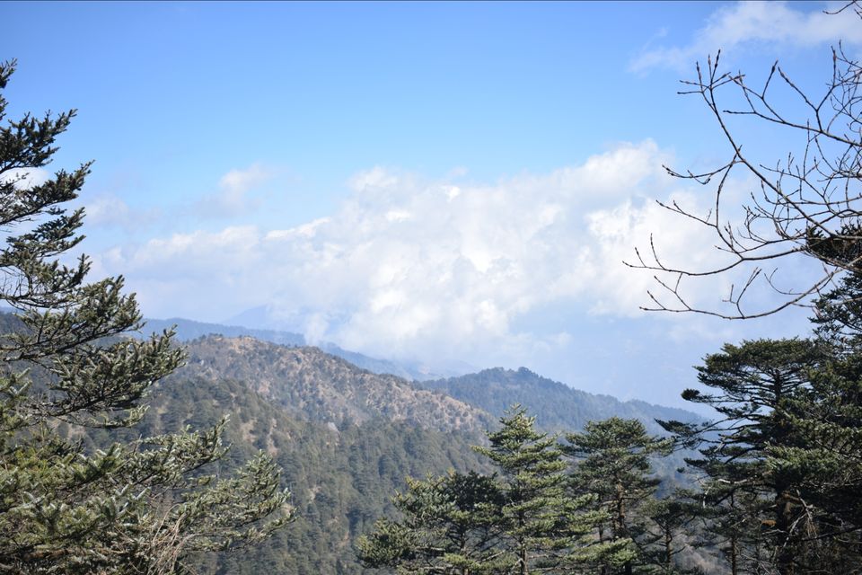 Photo of Sandakphu - where it seemed like heaven by Digisha Bose