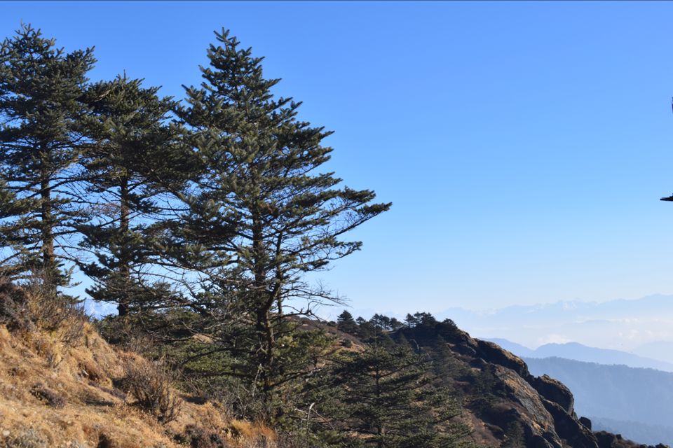 Photo of Sandakphu - where it seemed like heaven by Digisha Bose