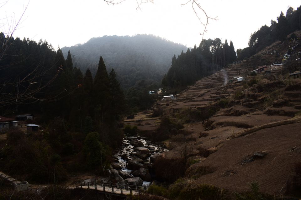Photo of Sandakphu - where it seemed like heaven by Digisha Bose