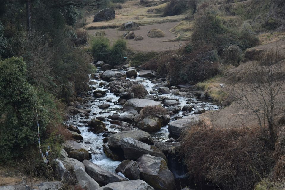 Photo of Sandakphu - where it seemed like heaven by Digisha Bose