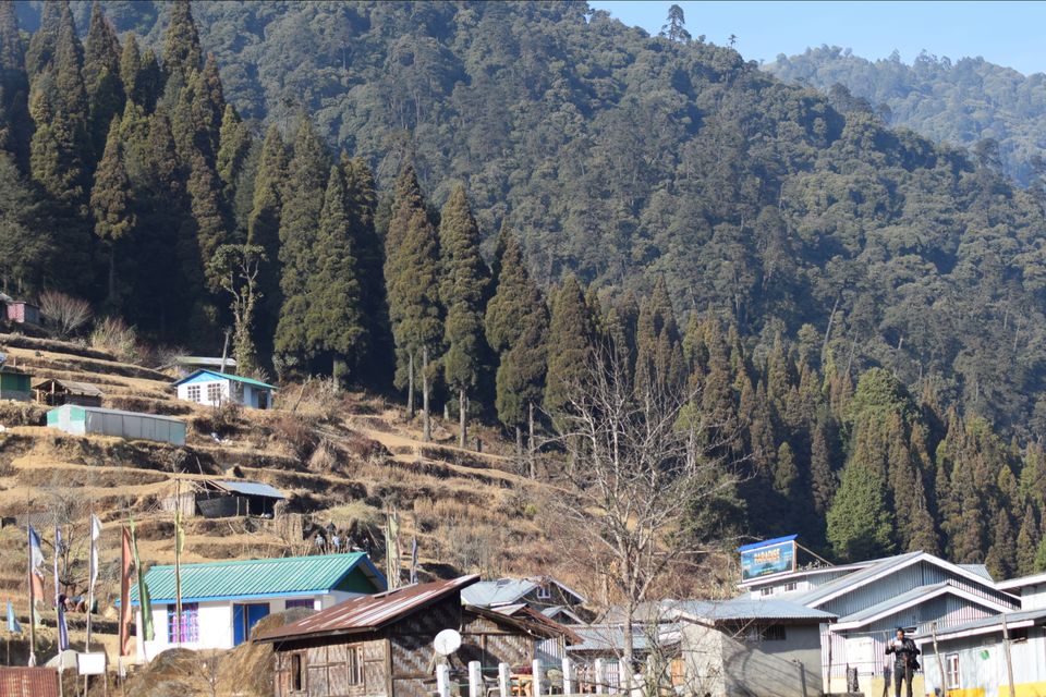 Photo of Sandakphu - where it seemed like heaven by Digisha Bose