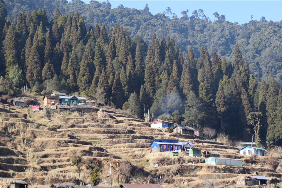 Photo of Sandakphu - where it seemed like heaven by Digisha Bose