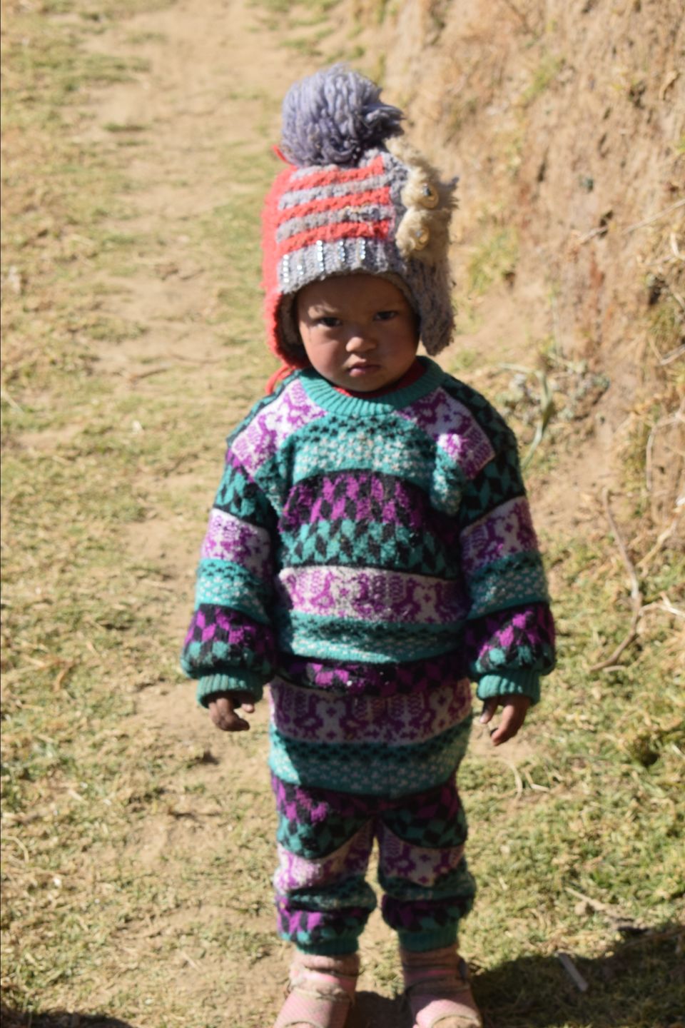 Photo of Sandakphu - where it seemed like heaven by Digisha Bose