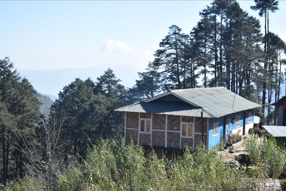 Photo of Sandakphu - where it seemed like heaven by Digisha Bose