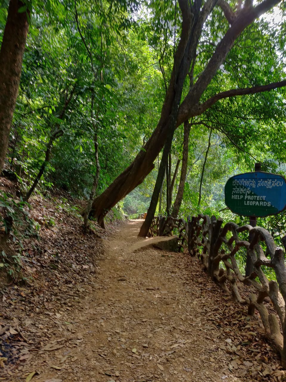 Photo of Vibhooti Falls, Mattighatta Road, Achave, Karnataka, India by Chaitali Chatterjee