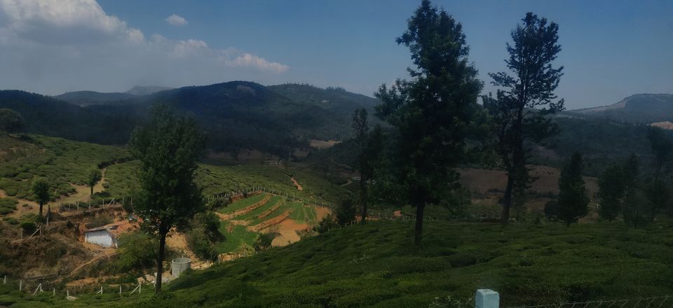Photo of Bandipur National Park, Bandipur, Karnataka, India by Chaitali Chatterjee