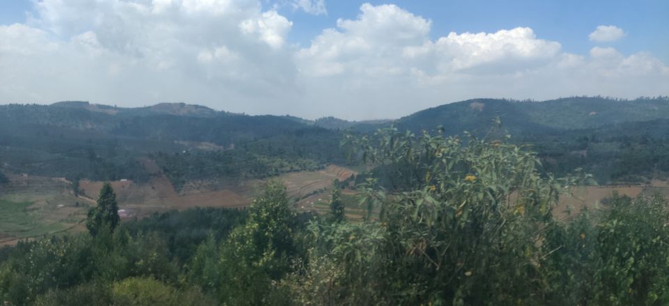 Photo of Bandipur National Park, Bandipur, Karnataka, India by Chaitali Chatterjee