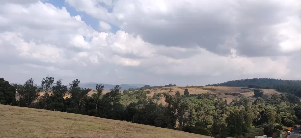 Photo of Wenlock Downs 9th Mile Shooting Point, Coimbatore-Ooty-Gundlupet Highway, Tamil Nadu, India by Chaitali Chatterjee