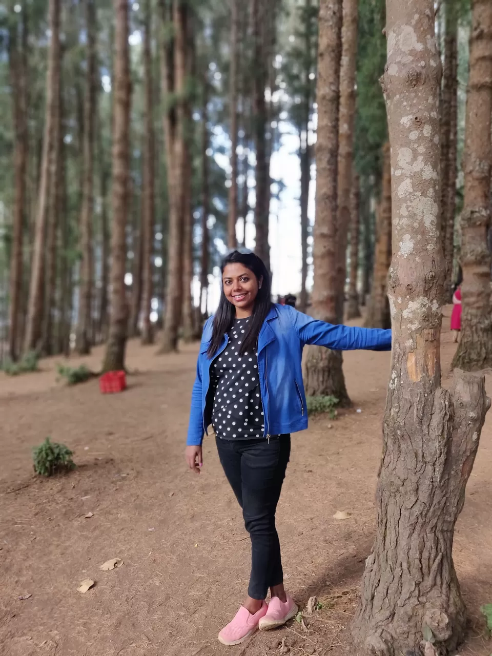 Photo of Tree Park, Coimbatore-Ooty-Gundlupet Highway, Sholur, Tamil Nadu, India by Chaitali Chatterjee