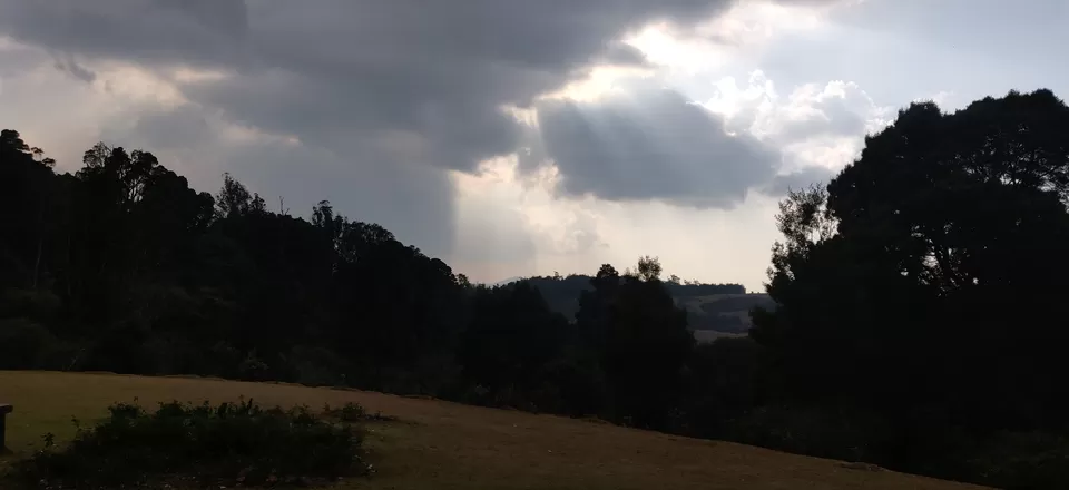 Photo of Tree Park, Coimbatore-Ooty-Gundlupet Highway, Sholur, Tamil Nadu, India by Chaitali Chatterjee