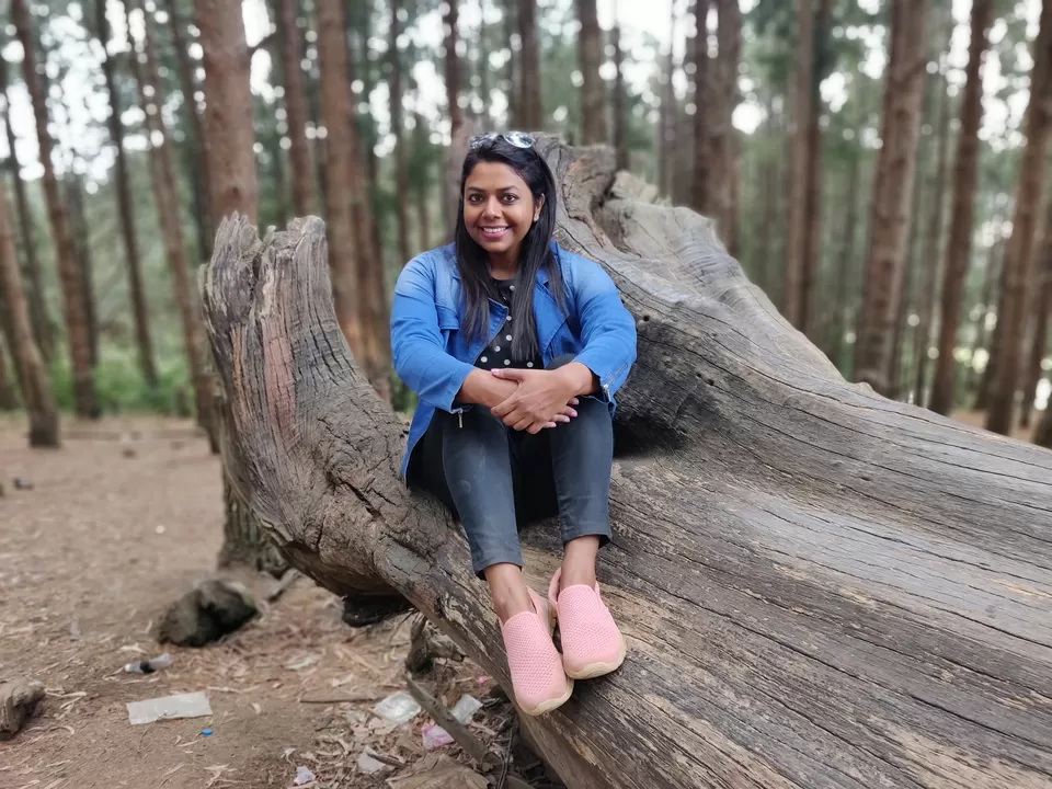 Photo of Tree Park, Coimbatore-Ooty-Gundlupet Highway, Sholur, Tamil Nadu, India by Chaitali Chatterjee