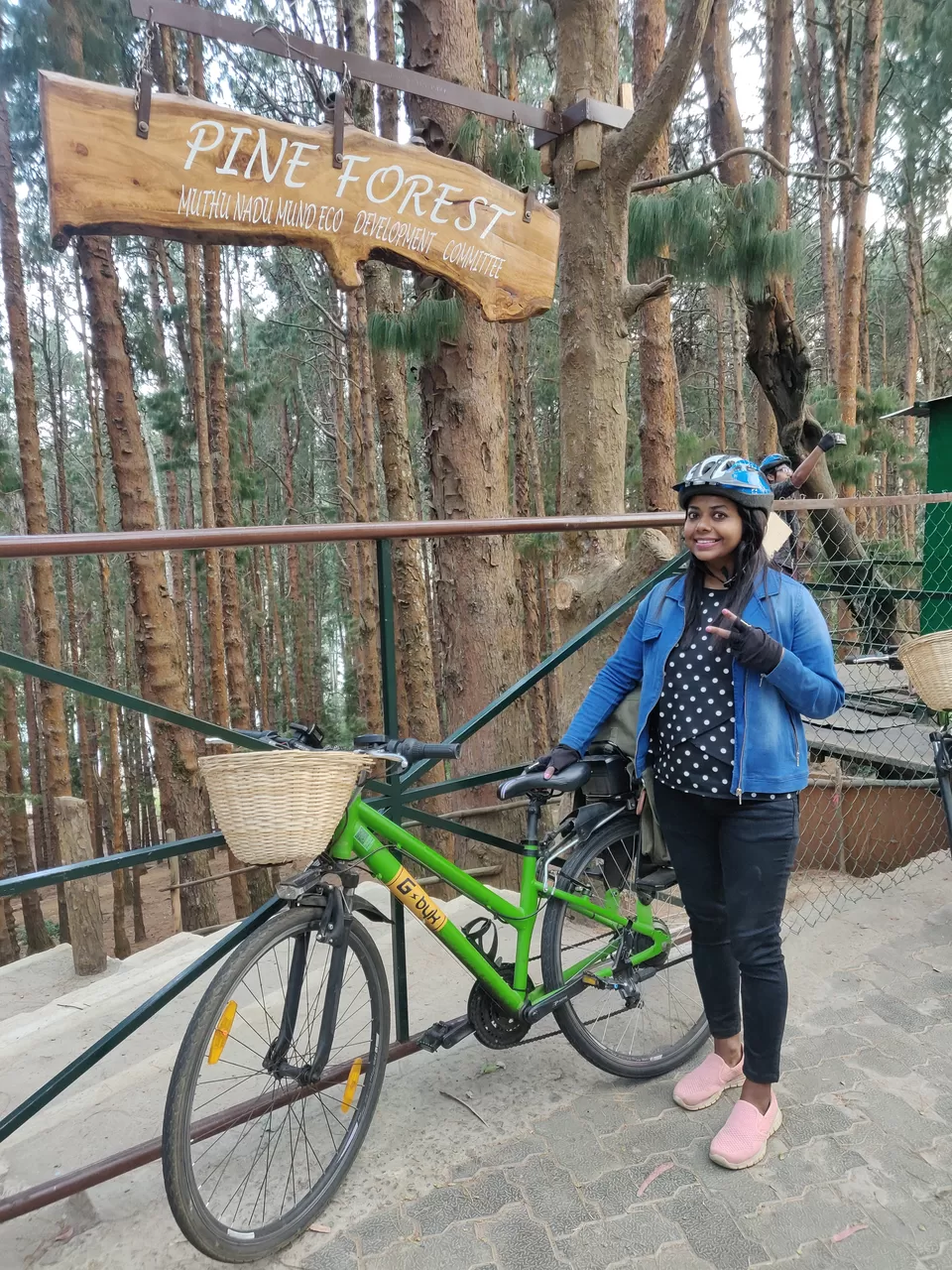 Photo of Pine Forest Shooting Spot, Nagapattinam - Coimbatore - Gundlupet Highway, Tamil Nadu, India by Chaitali Chatterjee