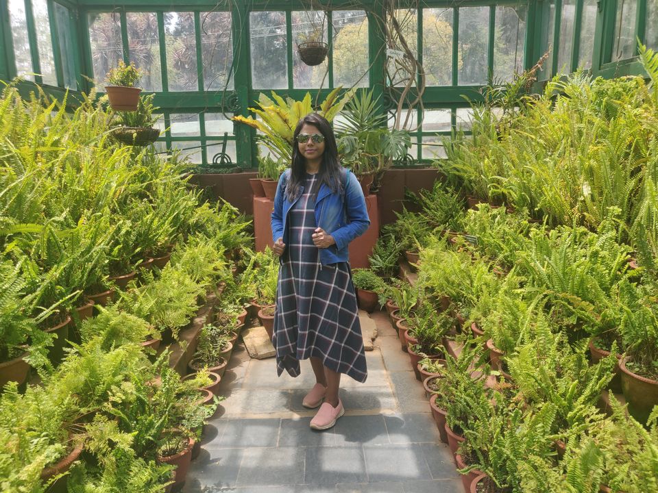 Photo of Government Botanical Garden, Vannarapettai, Ooty, Tamil Nadu, India by Chaitali Chatterjee