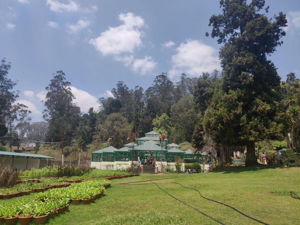 Photo of Government Botanical Garden, Vannarapettai, Ooty, Tamil Nadu, India by Chaitali Chatterjee