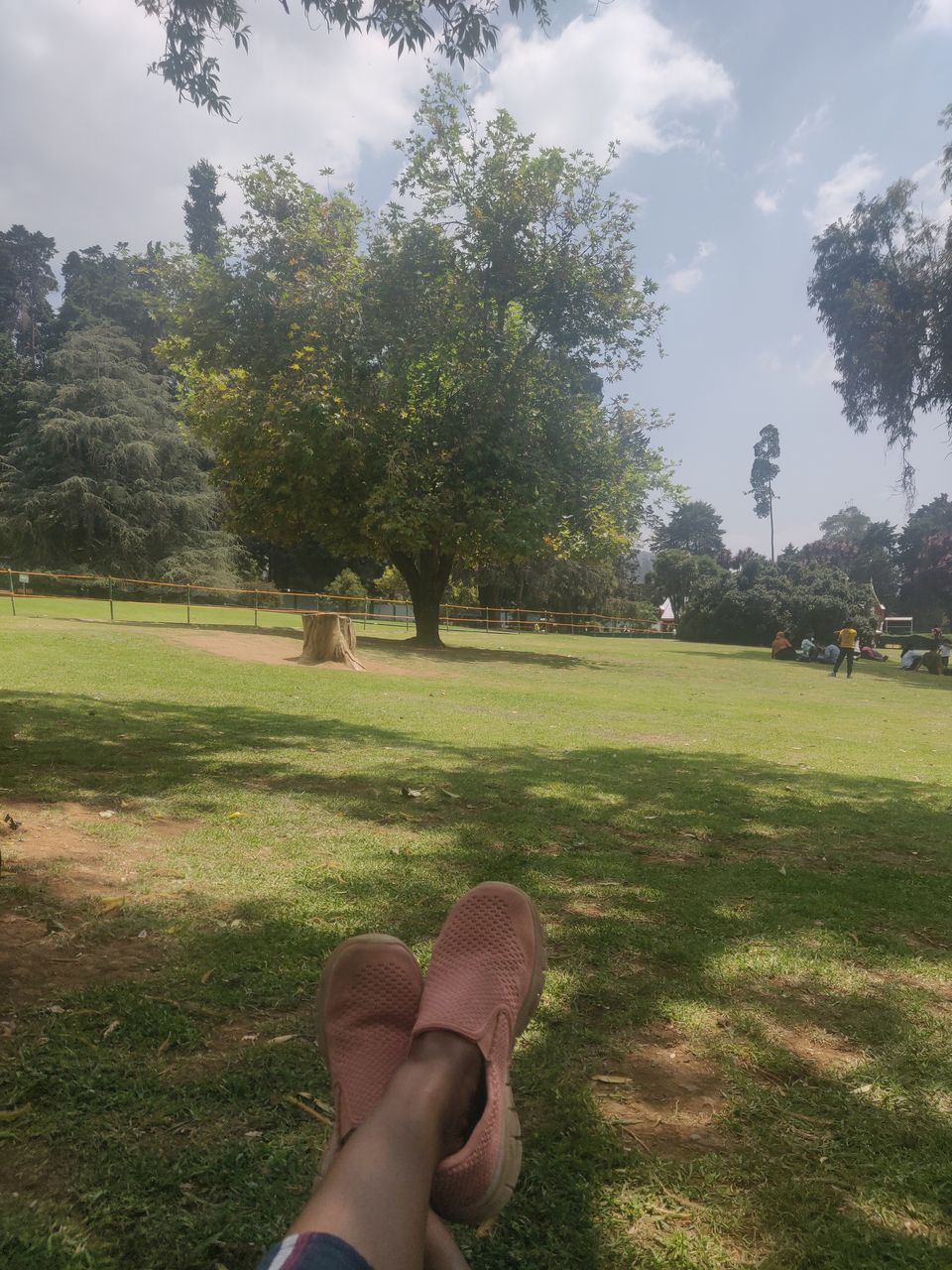 Photo of Government Botanical Garden, Vannarapettai, Ooty, Tamil Nadu, India by Chaitali Chatterjee
