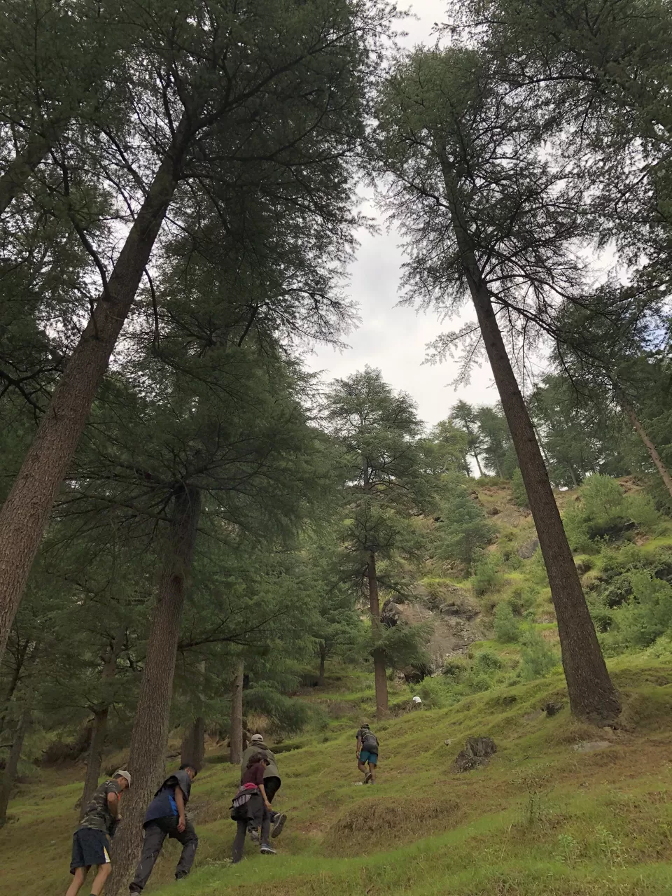 Photo of When in Manali, do not skip Naggar by Chaitali Chatterjee