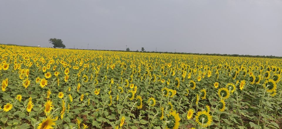 Photo of Gandikota, Andhra Pradesh, India by Chaitali Chatterjee