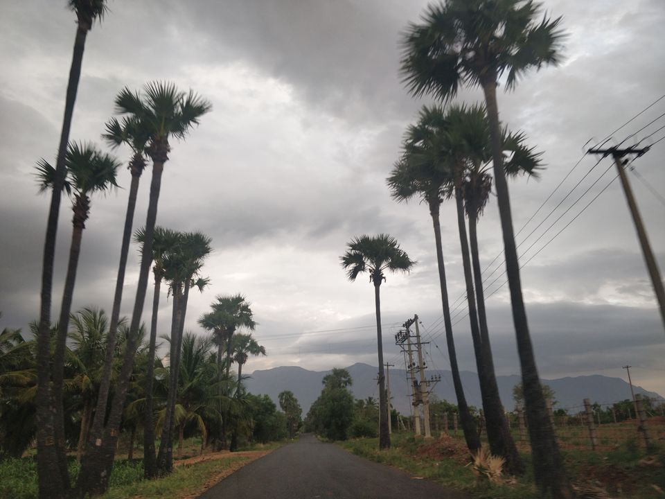 Photo of Get a thrilling view after crossing 70 hairpin bends - Kolli Hills 9/16 by Chaitali Chatterjee